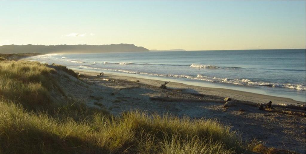 Apartamento Two Bare Feet Waihi Exterior foto