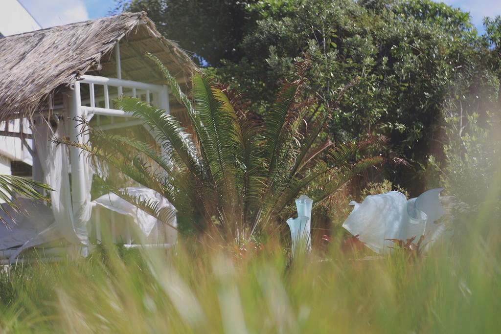 Apartamento Two Bare Feet Waihi Exterior foto